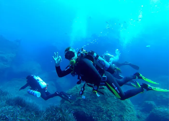 Mercury Stylish By Buena Vista * سانت جوليان