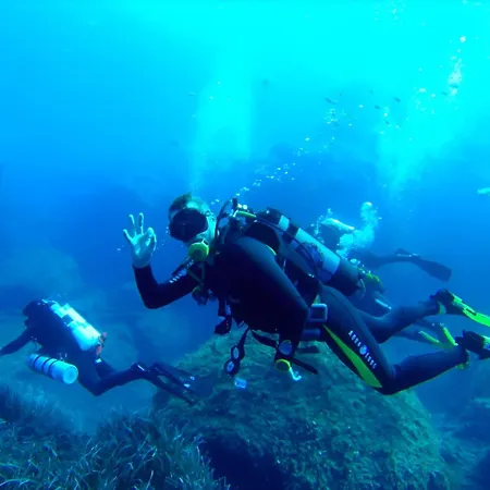 Mercury Stylish By Buena Vista * St. Julian's